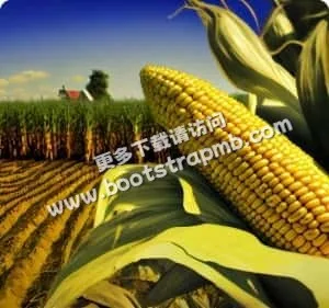 专注足球赛事资讯整合 - 世界杯数据分析hangrui