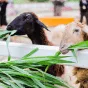 探索足球的魅力 - 世界杯数据分析hangrui